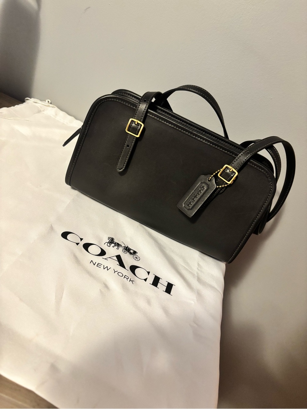 Coach Swing Zip Bag